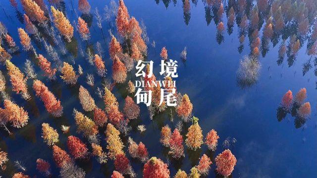 球球大作战下载最新版
